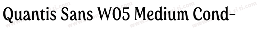 Quantis Sans W05 Medium Cond字体转换